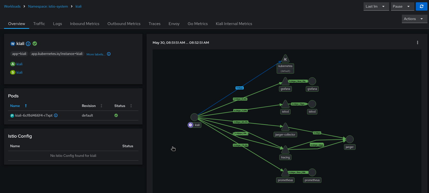 Kiali workload overview